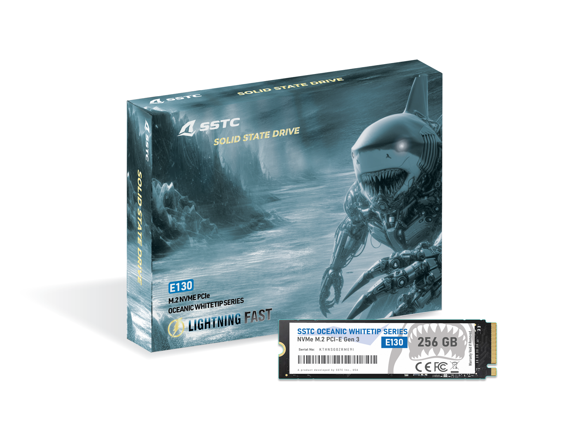 SSD_E130_256GB.png?v=